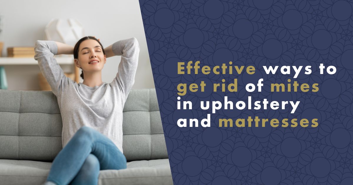 Effective Ways to Get Rid of Dust Mites in Mattress and Upholstery